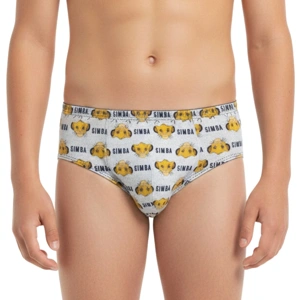 Slip infantil niño del Rey León VH8053 Caja de 6 packs
