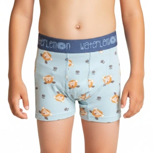 Bóxer niño Waterlemon 121 Pack de 2